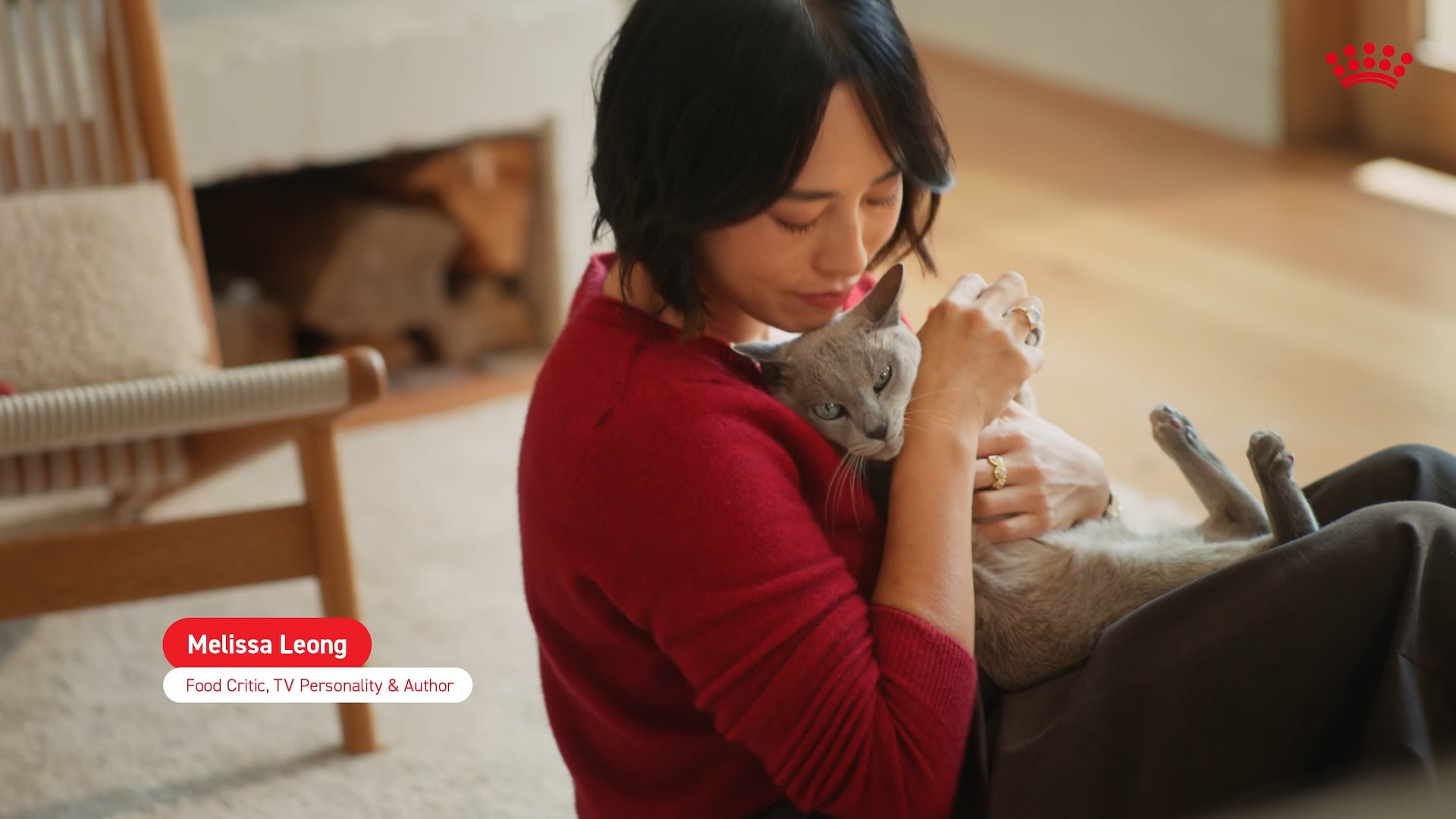 Royal Canin Cat Campaign — poster